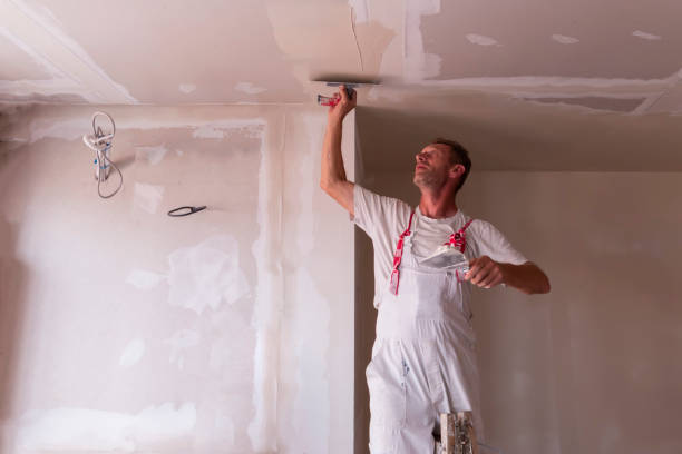 Best Water-Damaged Drywall Repair  in USA